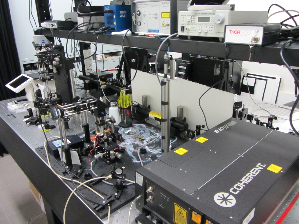 NanoLab1