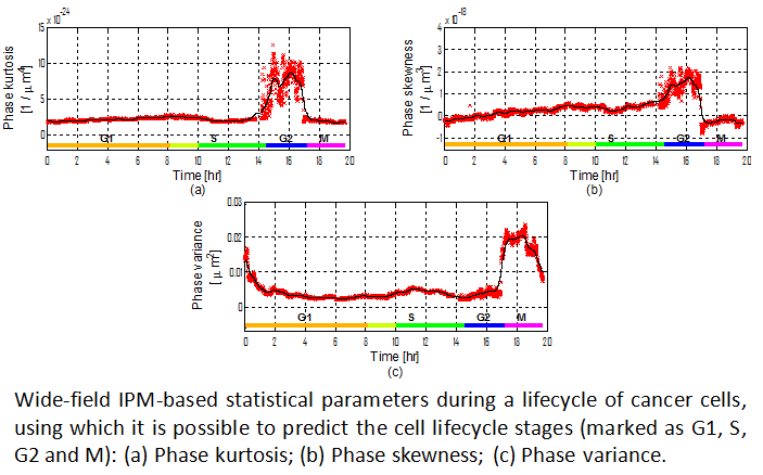 Cancer cells life time