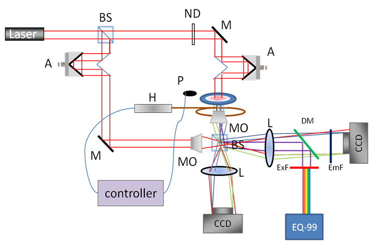 IPM-Fluorescence Schematics