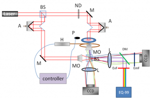 IPM-Fluorescence Schematics