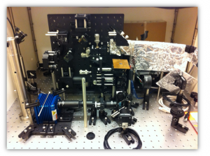 IPM-Fluorescence System