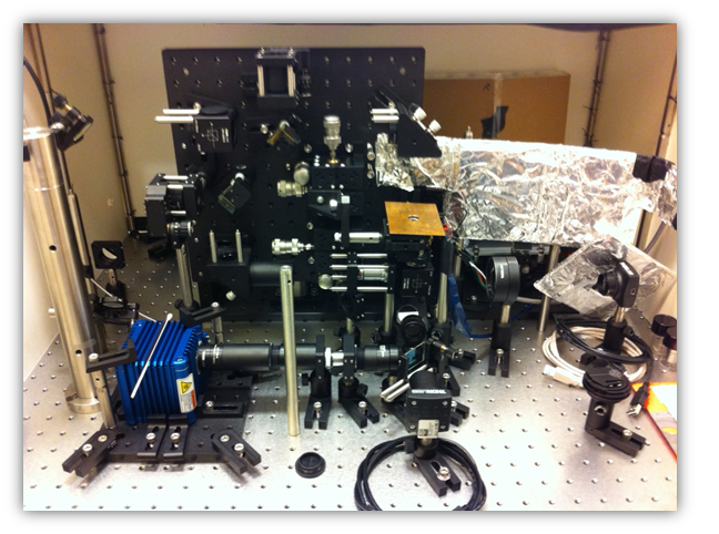 IPM-Fluorescence System