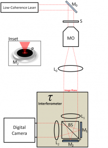 Portable Interferometric Phase Microscope