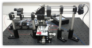 SDPM1