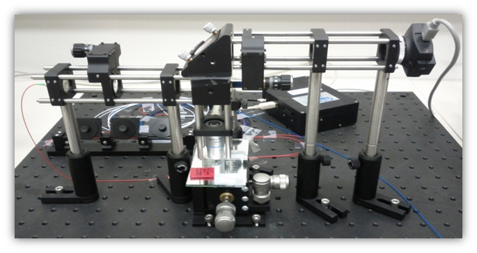 SDPM1