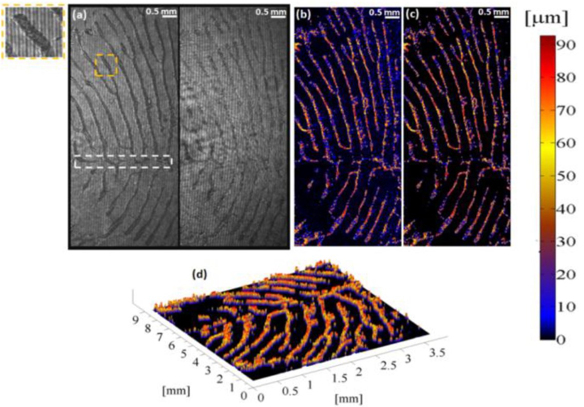 FingerPrints
