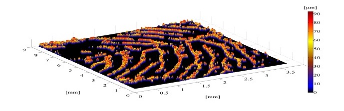 HanielFP2